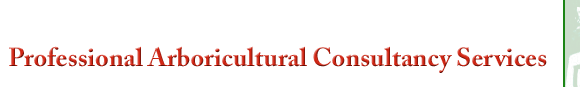 professional Arboricultural Consultancy services