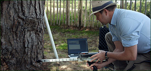 Safety tree surveys and tree inspections from MJC Tree Services